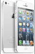 iPhone 5S Cracked Screen Repair $55